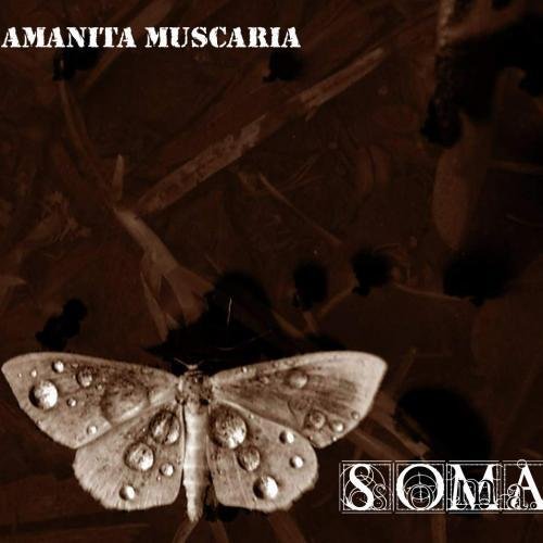 Amanita Muscaria — Soma