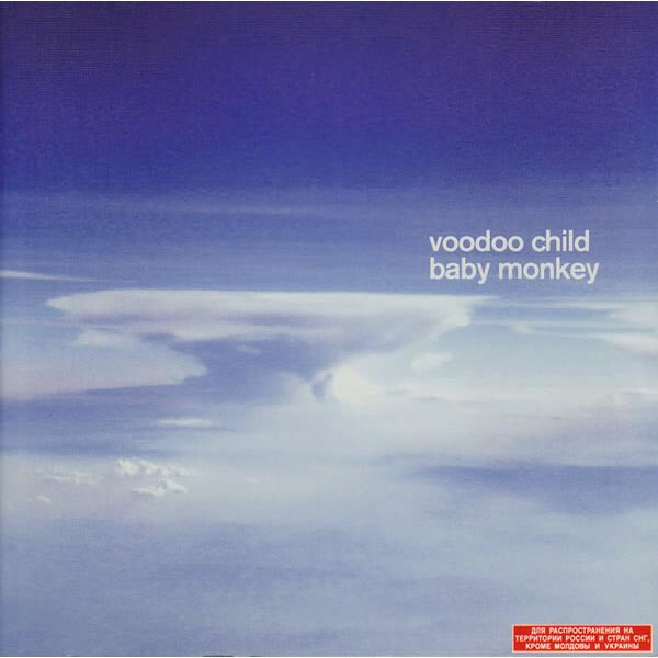 Voodoo Child — Baby Monkey