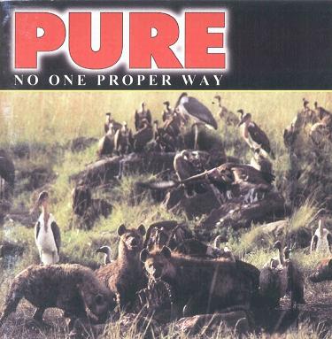 Pure — No One Proper Way