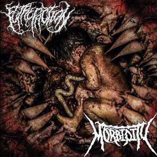 Morbidity + Putrefaction — Imperishable hits